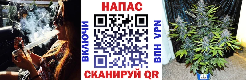 Шишки марихуана планчик  Берёзовский 